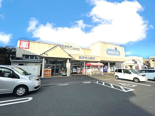 ウエルシア　石岡東光台店（800m）