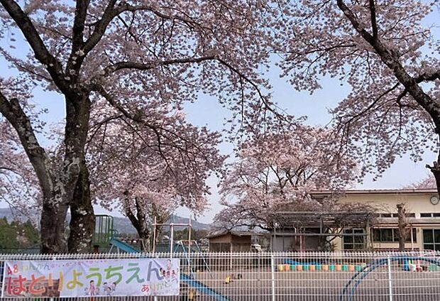 羽鳥幼稚園(1100m)