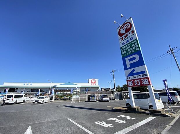 コメリハード&グリーン 瓜連店(1100m)