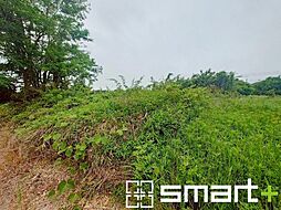 茨城県小美玉市野田