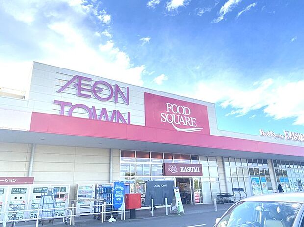 イオンタウン水戸南(700m)