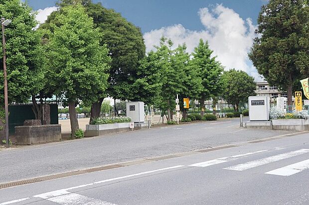 ひたちなか市立高野小学校(1500m)