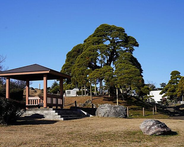 高野堀向公園(250m)