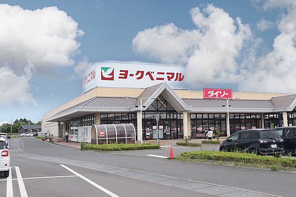 ヨークベニマル佐和店（900m）