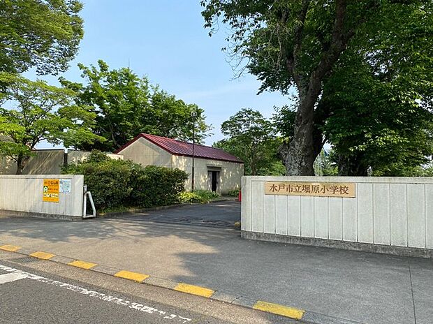 水戸市立堀原小学校(600m)