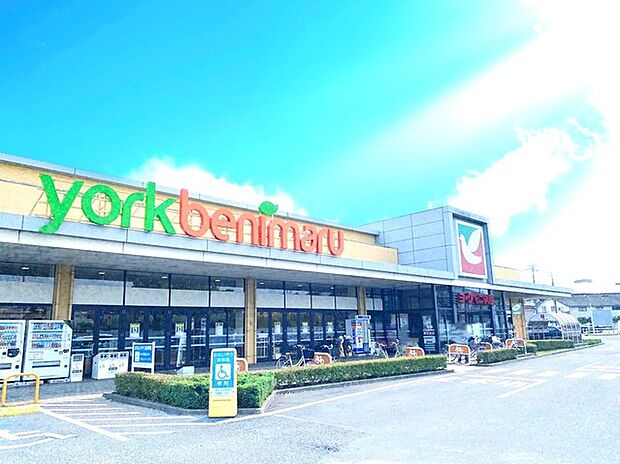 ヨークベニマル水戸浜田店(350m)