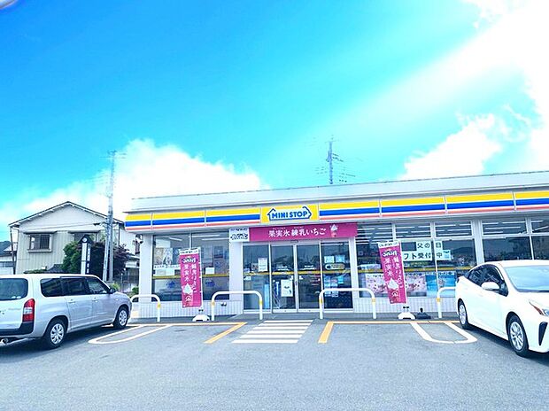 ミニストップ水戸浜田町店(650m)