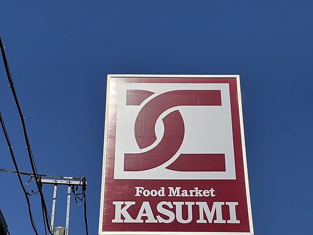 カスミ東大沼店(1100m)