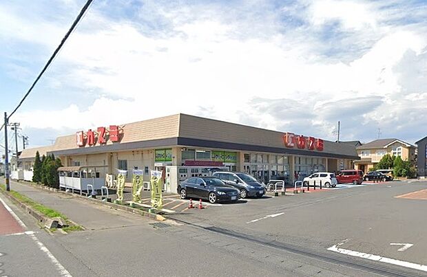 カスミ津田店(550m)