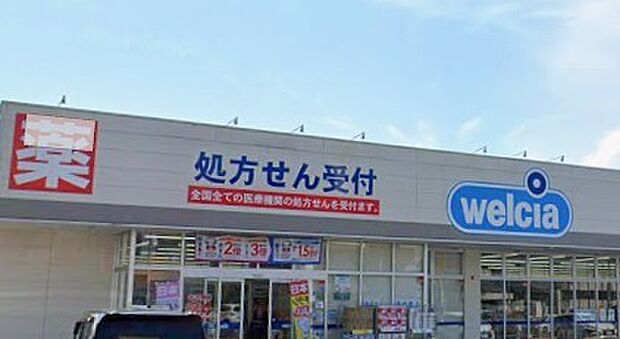 ウエルシアひたちなか外野店(550m)