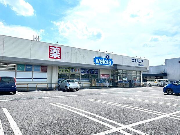 ウエルシアひたちなか田彦店(2200m)