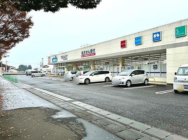 ウエルシア　小美玉美野里店（300m）