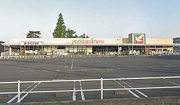ヨークベニマル 東大島店(1600m)