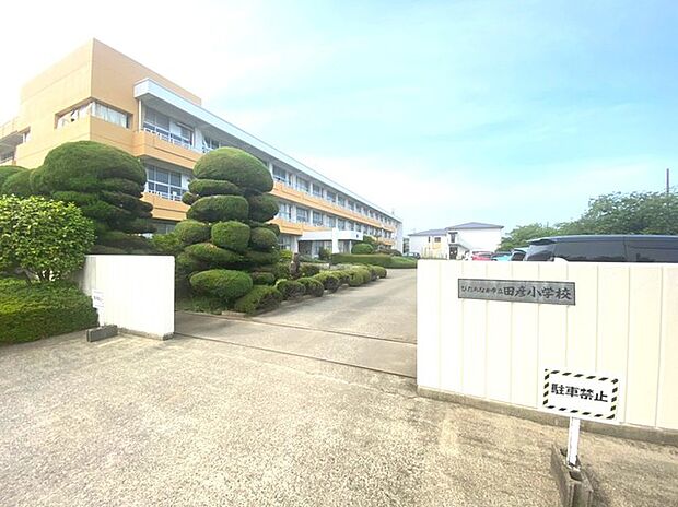 田彦小学校(600m)