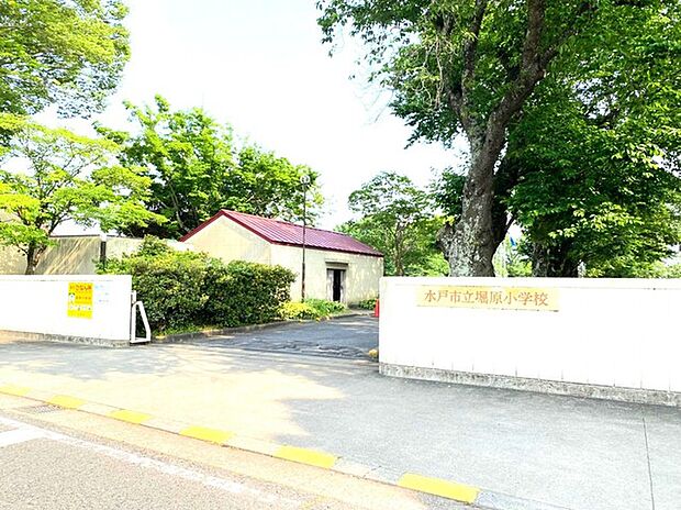 水戸市立堀原小学校(600m)
