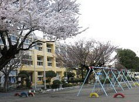 東石川小学校(1100m)