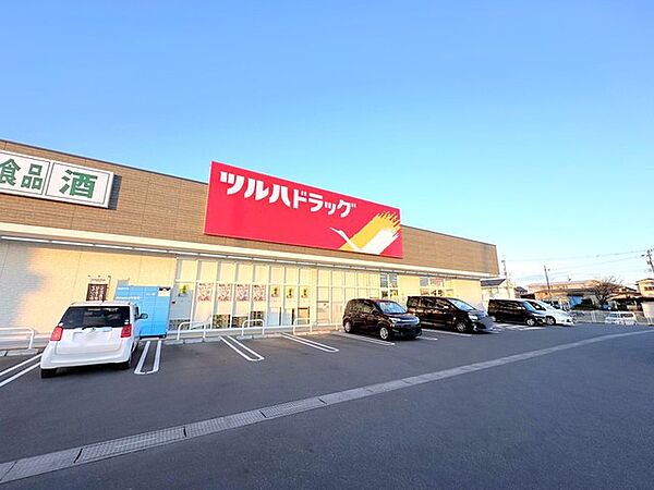ツルハドラッグ　水戸元吉田東店（550m）