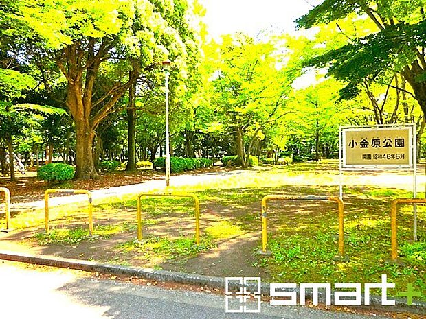 小金原公園(900m)