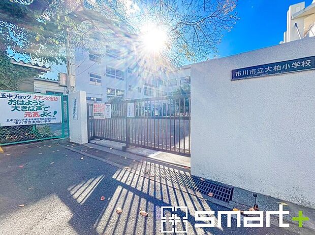 市川市立大柏小学校(995m)
