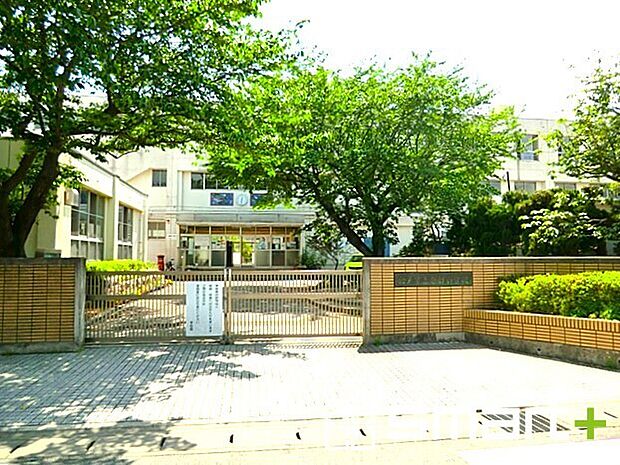 松戸市立南部小学校(990m)