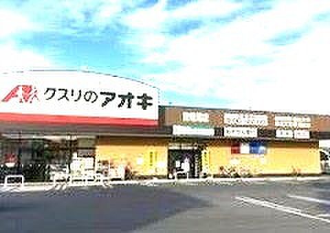 クスリのアオキ南増尾店(1000m)