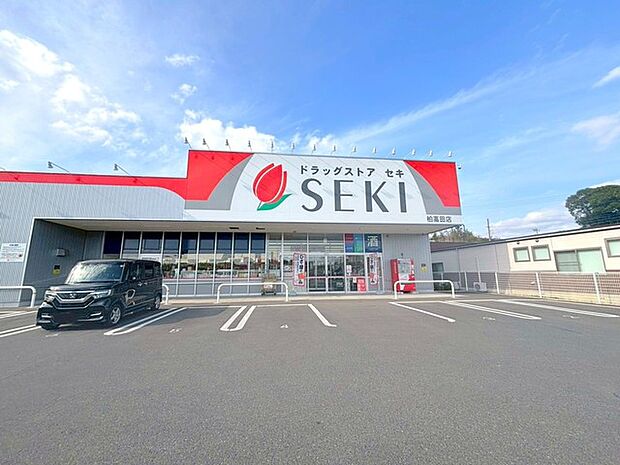 ドラッグストアセキ 柏高田店(450m)