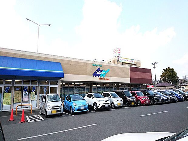 セレクション青葉台店(800m)