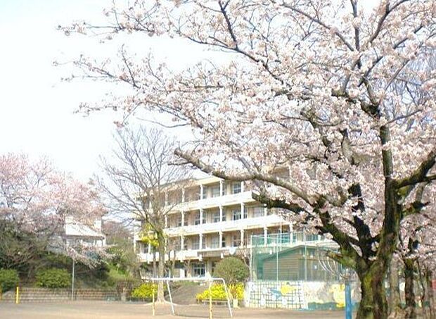高野山小学校（650m）