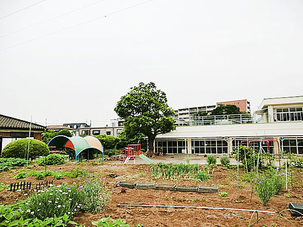 向小金保育所(350m)