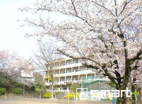 高野山小学校（850m）