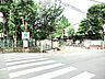 周辺：柏第一小学校（1100m）