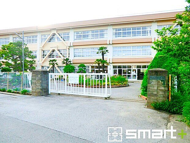 柏第七小学校(550m)