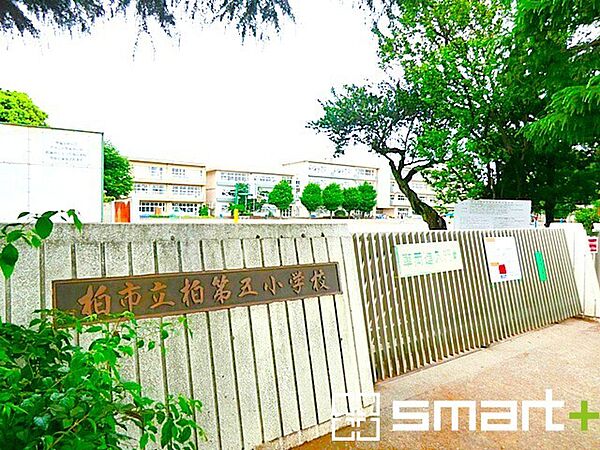 柏第五小学校（700m）