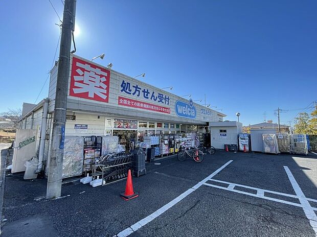 ウエルシア流山店(350m)