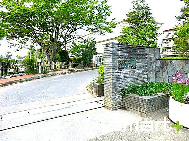 湖北台中学校（850m）