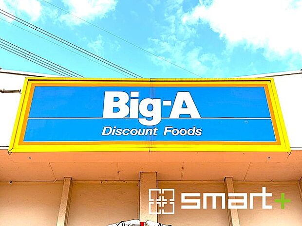 ビッグ・エー野田中根店（1000m）