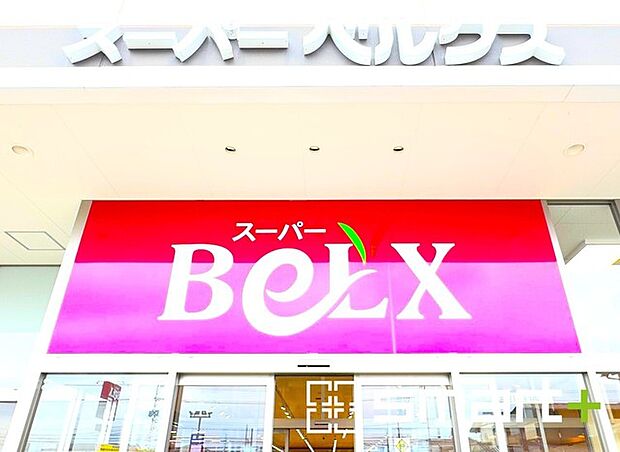 ベルクス五香店（1100m）