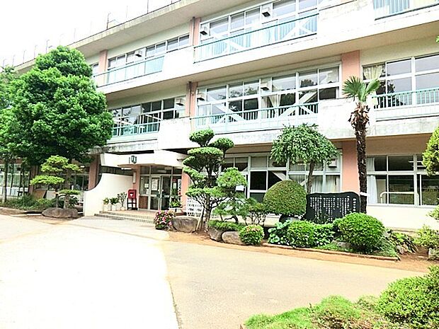 柳沢小学校(600m)
