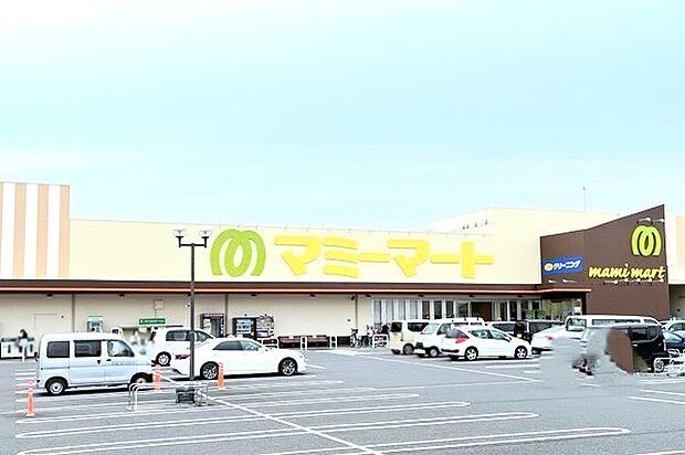 マミーマート柏根戸店（1000m）