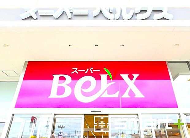 ベルクス柏つくしが丘店（550m）