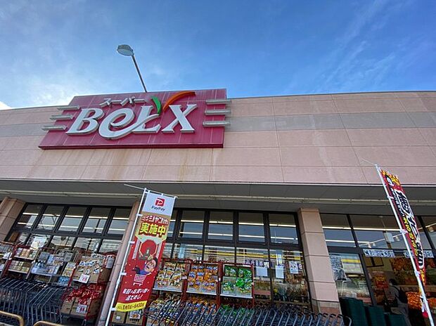 ベルクス柏つくしが丘店(850m)