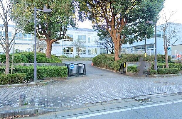 高花小学校(500m)