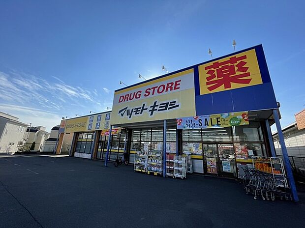 マツモトキヨシ流山野々下店(1000m)