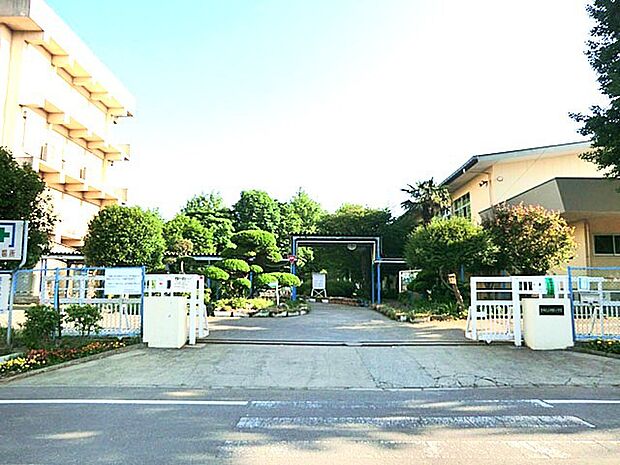 酒井根小学校 (550m)