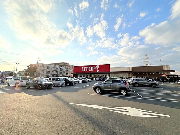 生鮮市場TOP 新夏見店(480m)