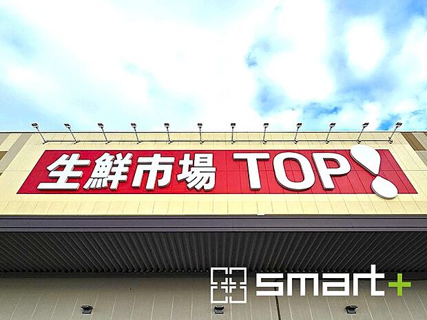 生鮮市場TOP船橋日大前店（587m）