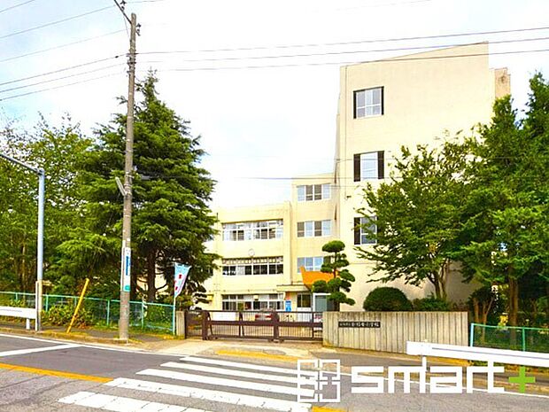 金杉台小学校（312m）