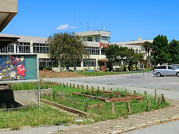 田中小学校（900m）