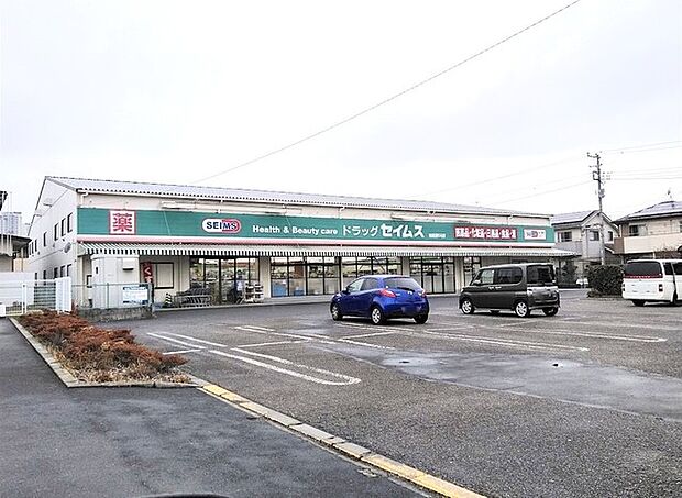 ドラッグセイムス　柏花野井店（1100m）