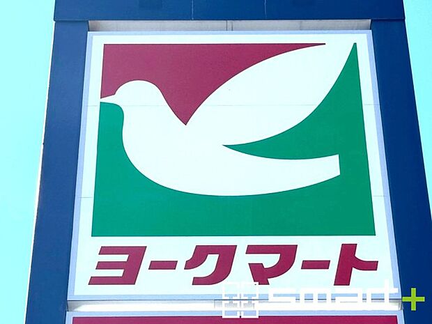 ヨークマート江戸川台店（1100m）